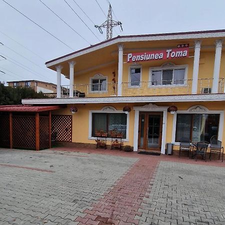 Pensiunea Toma 플로이에슈티 외부 사진