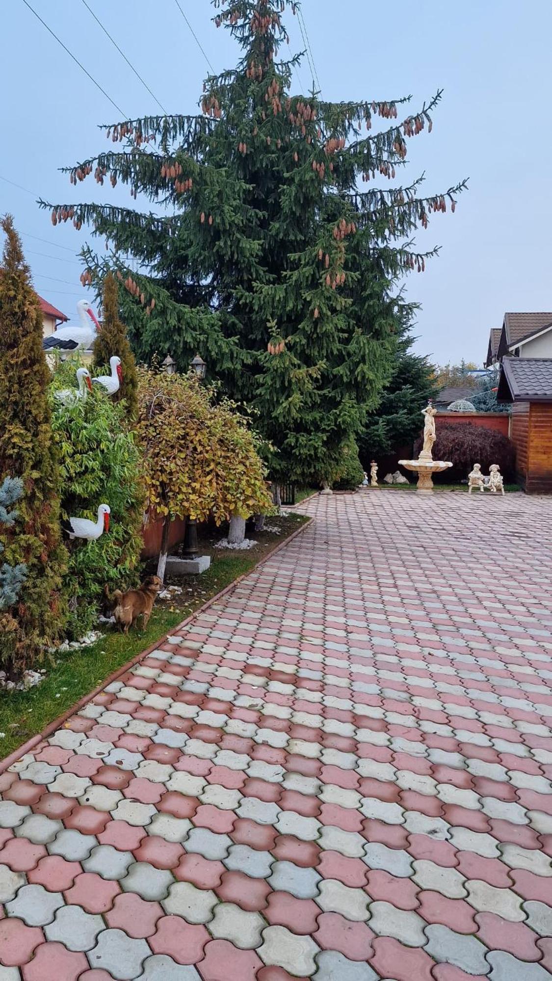 Pensiunea Toma 플로이에슈티 외부 사진